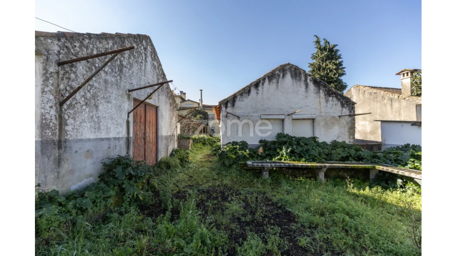 Quinta T8 para Venda em Arganil Foto 4