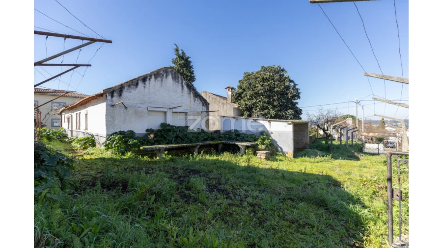 Quinta T8 para Venda em Arganil Foto 8