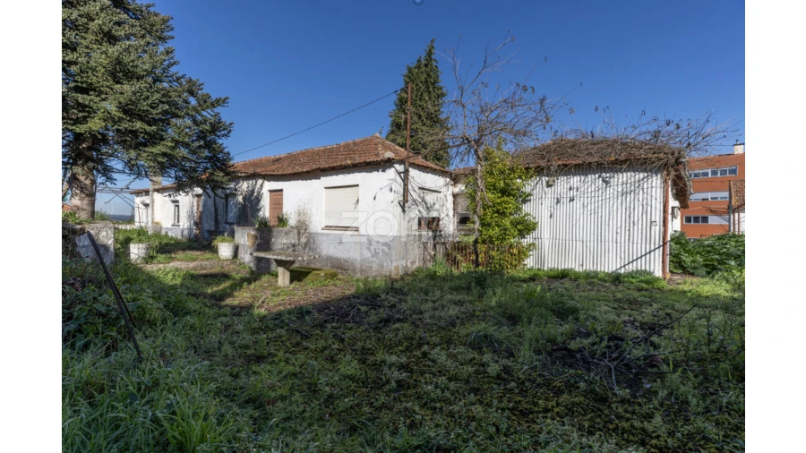 Quinta T8 para Venda em Arganil Foto 12