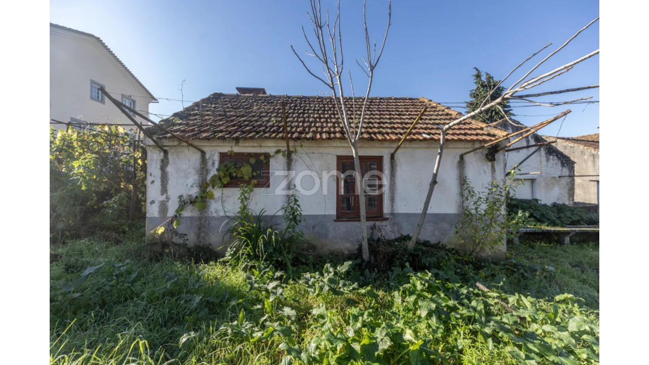 Quinta T8 para Venda em Arganil Foto 4