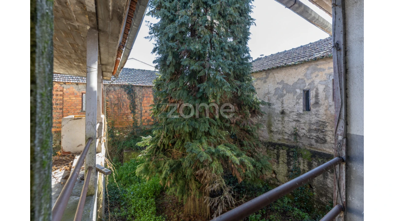 Quinta T8 para Venda em Arganil Foto 39