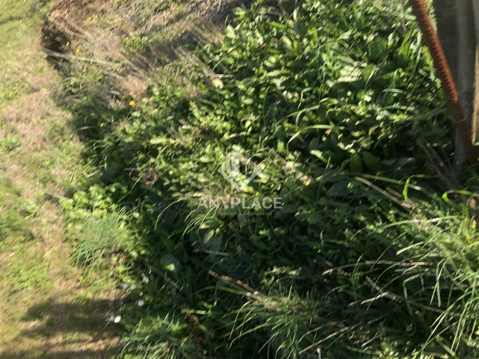 Terreno Agricola ou Rústico para Venda em Mertola Foto 10