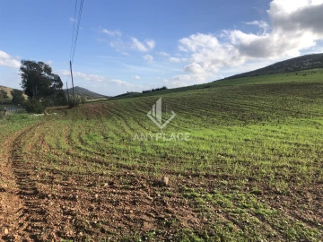 Terreno Agricola ou Rústico para Venda em Mertola