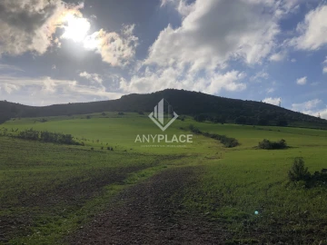 Terreno Agricola ou Rústico para Venda em Mertola