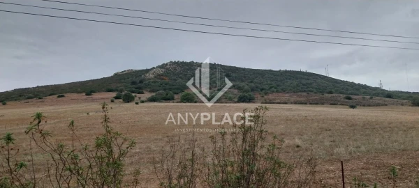 Terreno Agricola ou Rústico para Venda em Mertola
