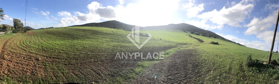 Terreno Agricola ou Rústico para Venda em Mertola