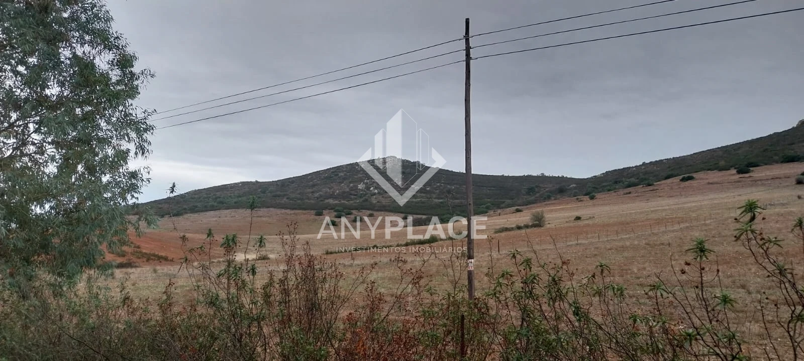 Terreno Agricola ou Rústico para Venda em Mertola Foto 12