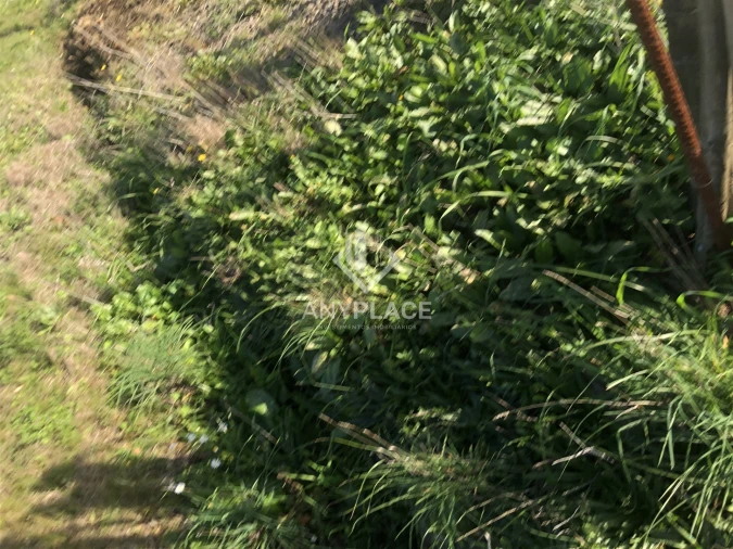 Terreno Agricola ou Rústico para Venda em Mertola Foto 10