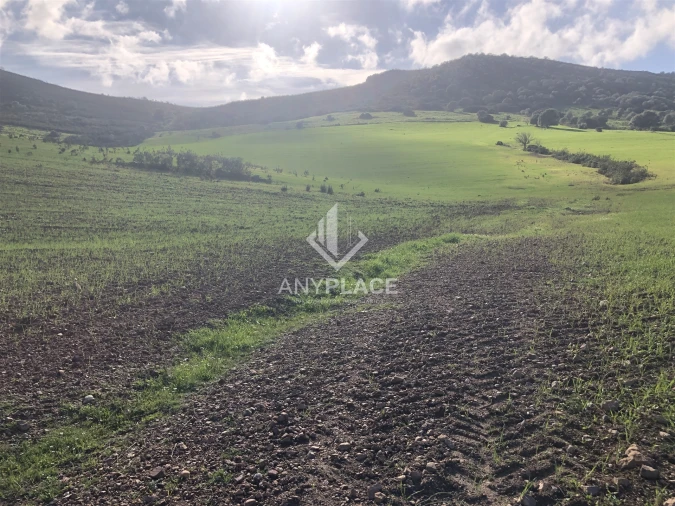 Terreno Agricola ou Rústico para Venda em Mertola Foto 4