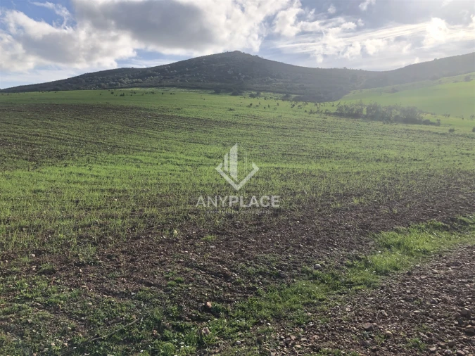 Terreno Agricola ou Rústico para Venda em Mertola Foto 3