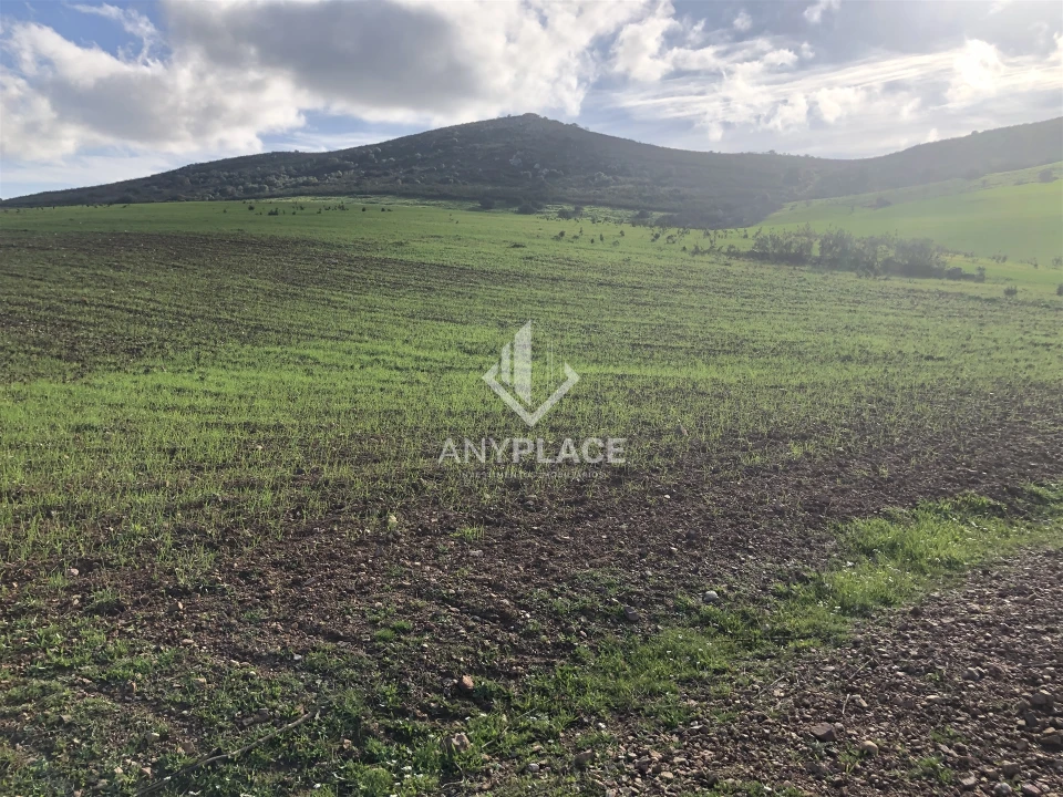 Terreno Agricola ou Rústico para Venda em Mertola Foto 3