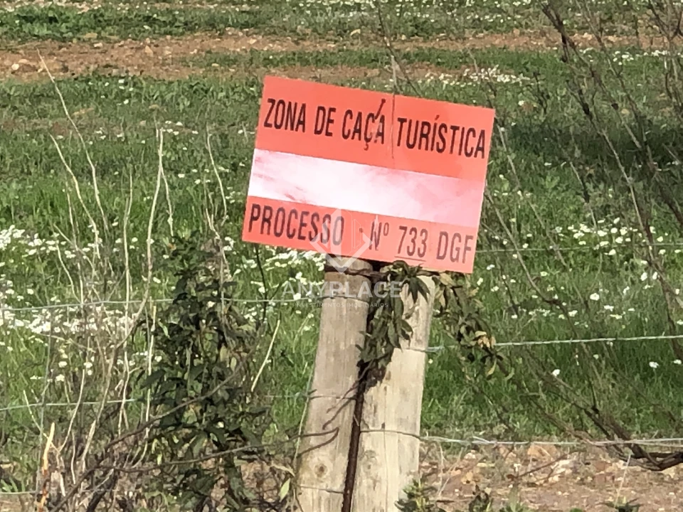 Terreno Agricola ou Rústico para Venda em Mertola Foto 11