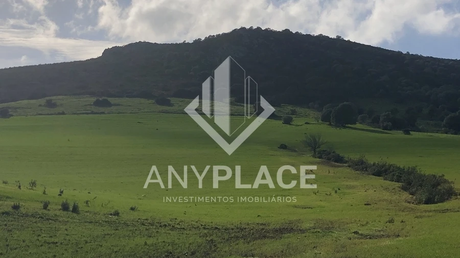 Terreno Agricola ou Rústico para Venda em Mertola