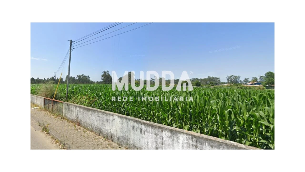 Terreno para Venda em Ovar, São João, Arada e São Vicente de Pereira Jusã Foto 3