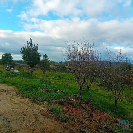 Moradia T4 para Venda em Lagoaça e Fornos Foto 5