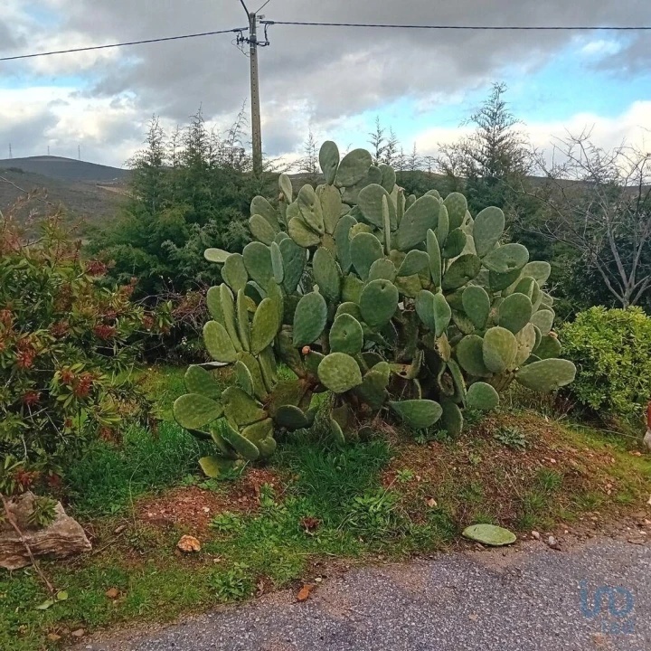 Moradia T4 para Venda em Lagoaça e Fornos Foto 4