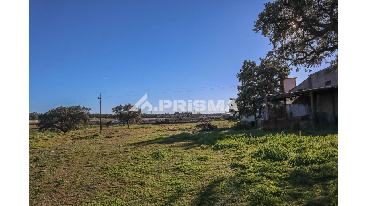 Terreno para Venda em Alcains Foto 17