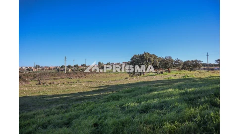 Terreno para Venda em Alcains