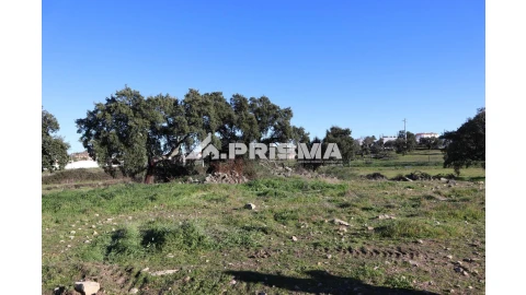 Terreno para Venda em Alcains