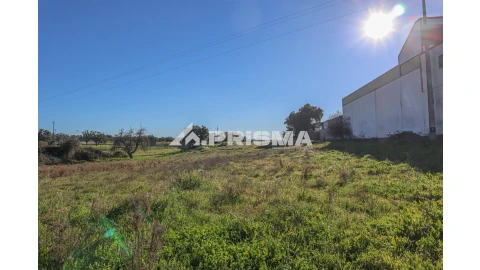 Terreno para Venda em Alcains