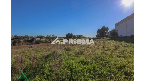 Terreno para Venda em Alcains
