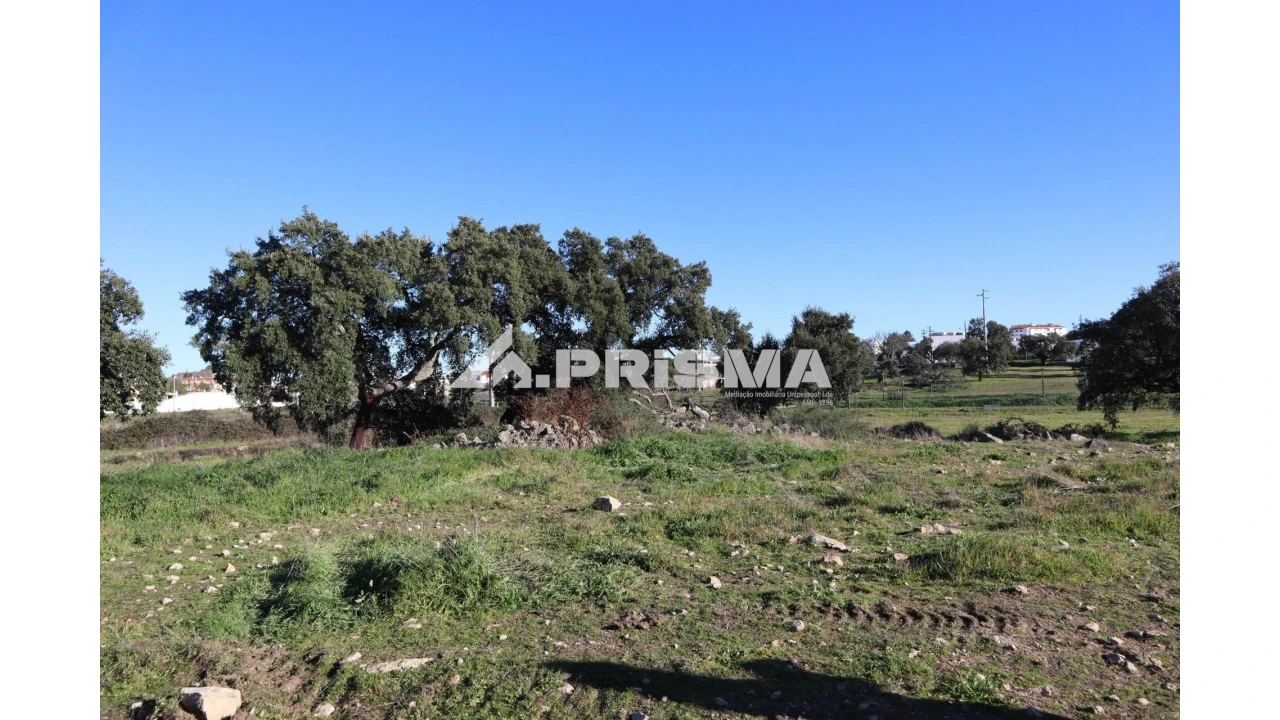 Terreno para Venda em Alcains Foto 3