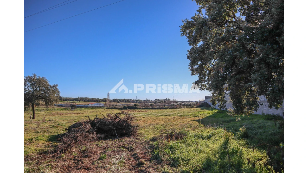 Terreno para Venda em Alcains Foto 8