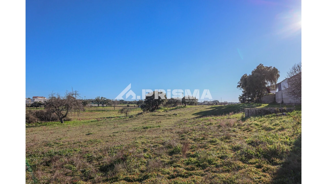 Terreno para Venda em Alcains Foto 4