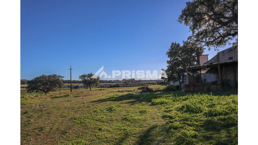 Terreno para Venda em Alcains Foto 17