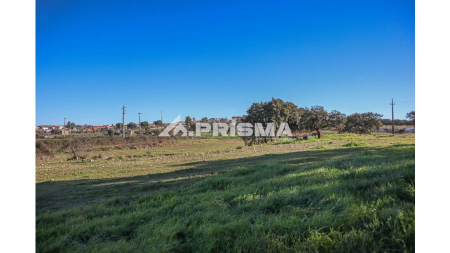 Terreno para Venda em Alcains Foto 20