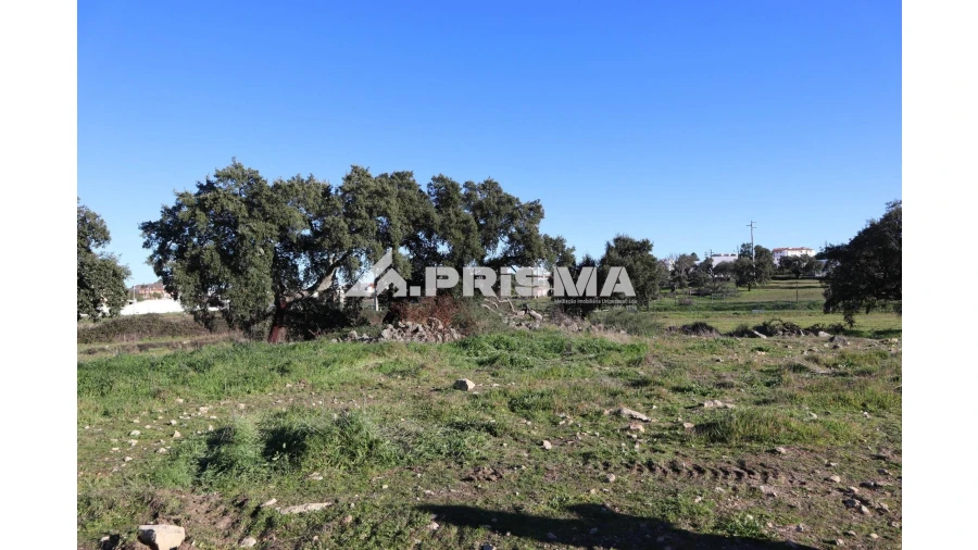 Terreno para Venda em Alcains Foto 3