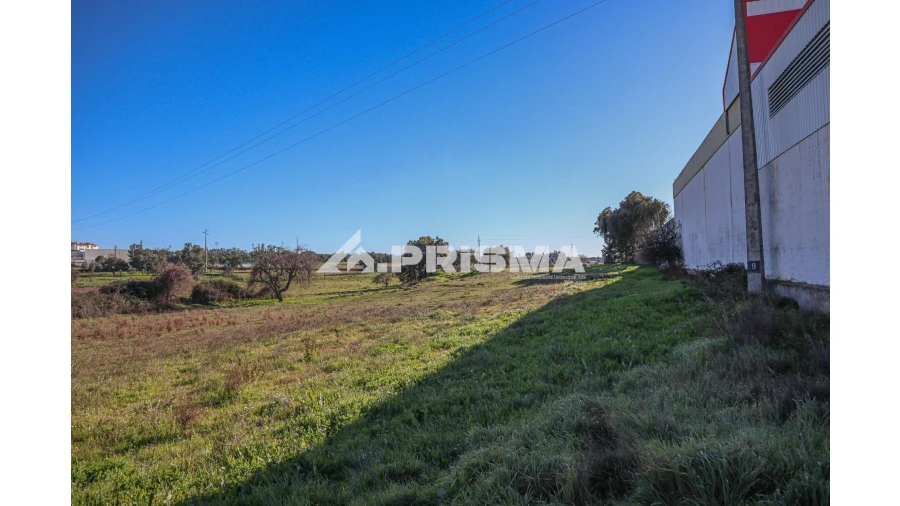 Terreno para Venda em Alcains Foto 11