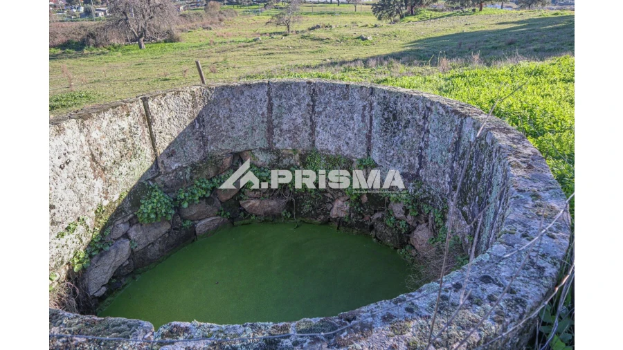 Terreno para Venda em Alcains Foto 12