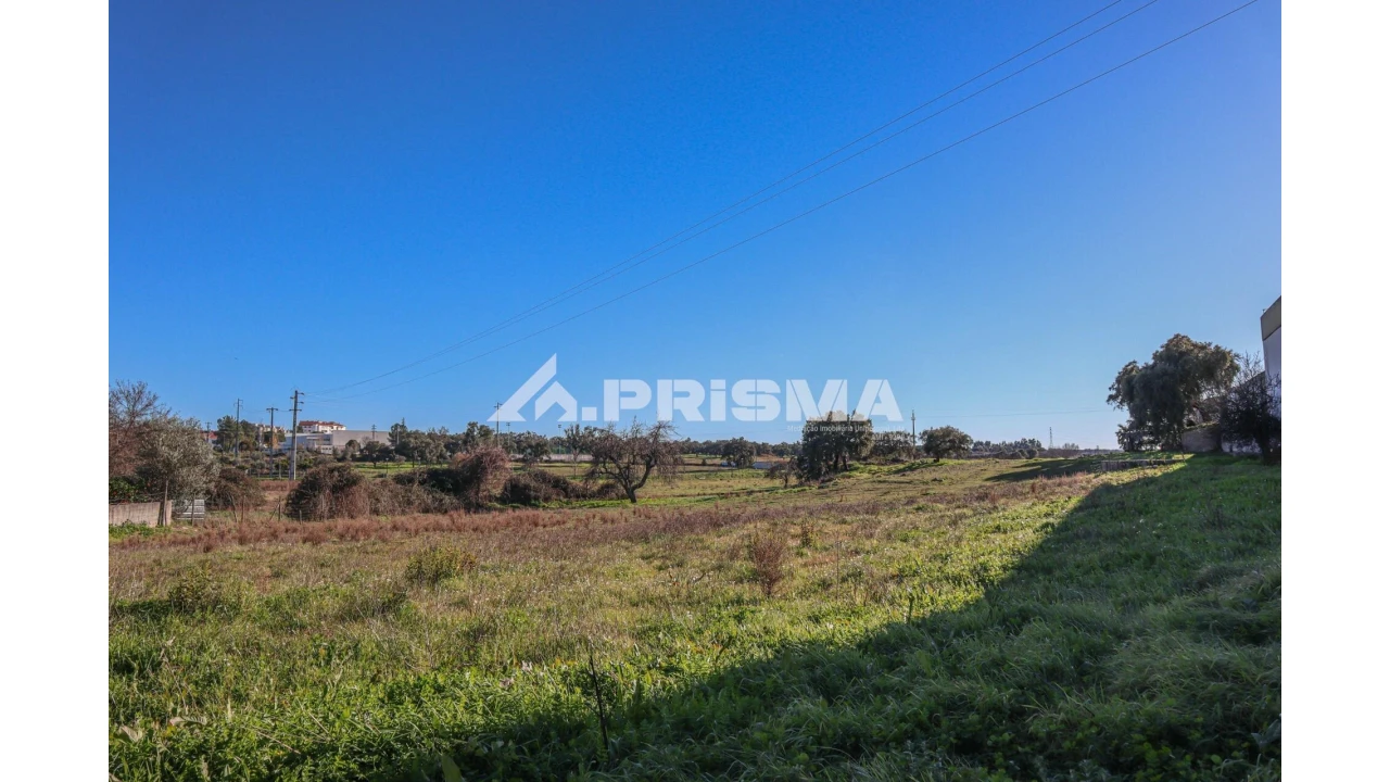 Terreno para Venda em Alcains Foto 15