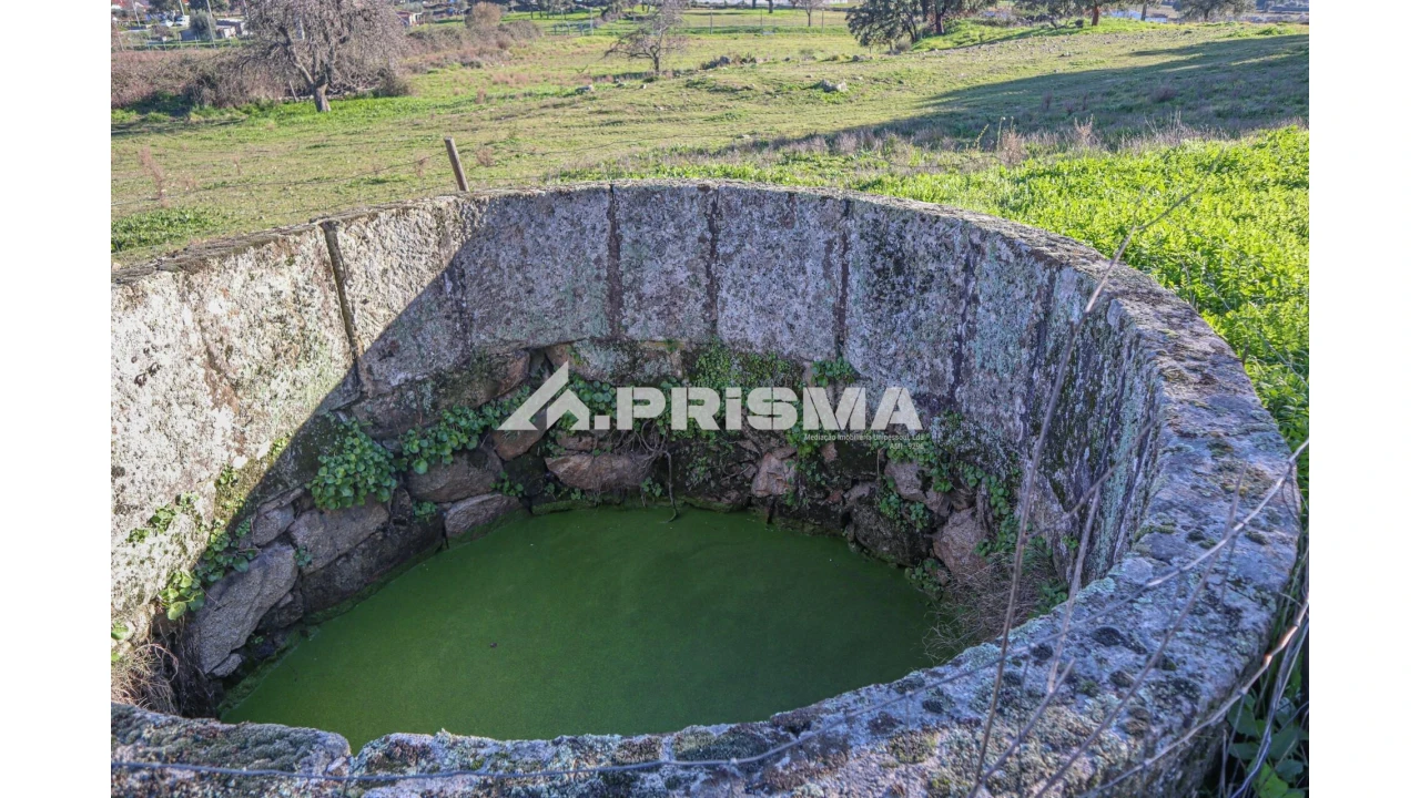 Terreno para Venda em Alcains Foto 12