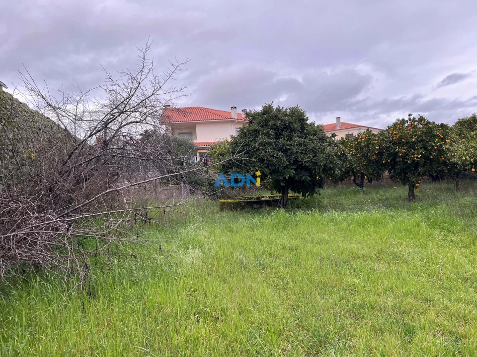 Quinta para Venda em Alcains Foto 2