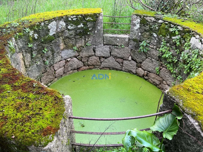 Quinta para Venda em Alcains Foto 3