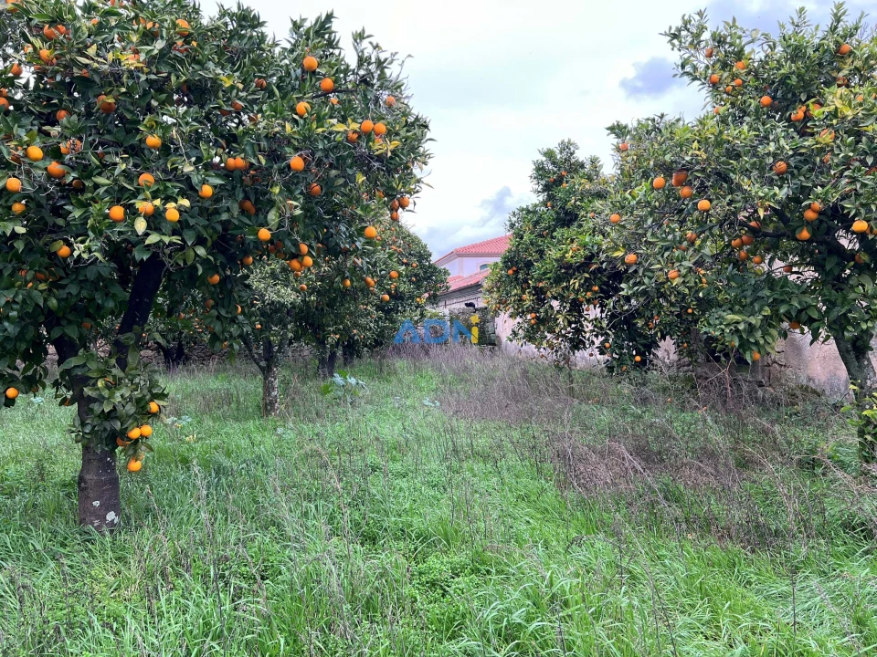 Quinta para Venda em Alcains Foto 4
