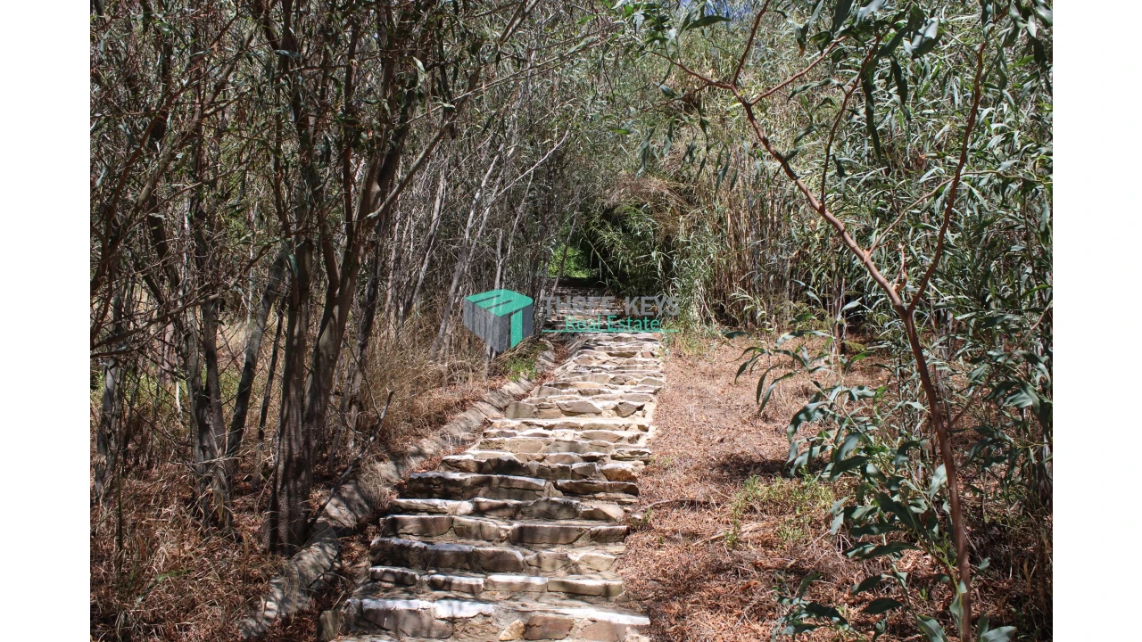 Negócio para Venda em Santa Clara-A-Velha Foto 15