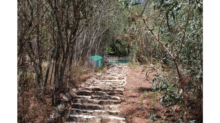 Negócio para Venda em Santa Clara-A-Velha Foto 15