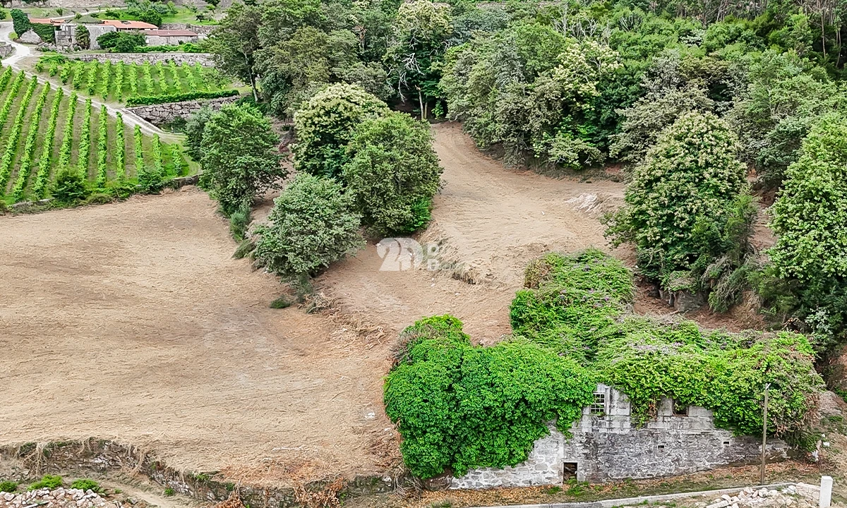Quinta T0 para Venda em Santo Tirso, Couto (Santa Cristina e São Miguel) e Burgães Foto 2