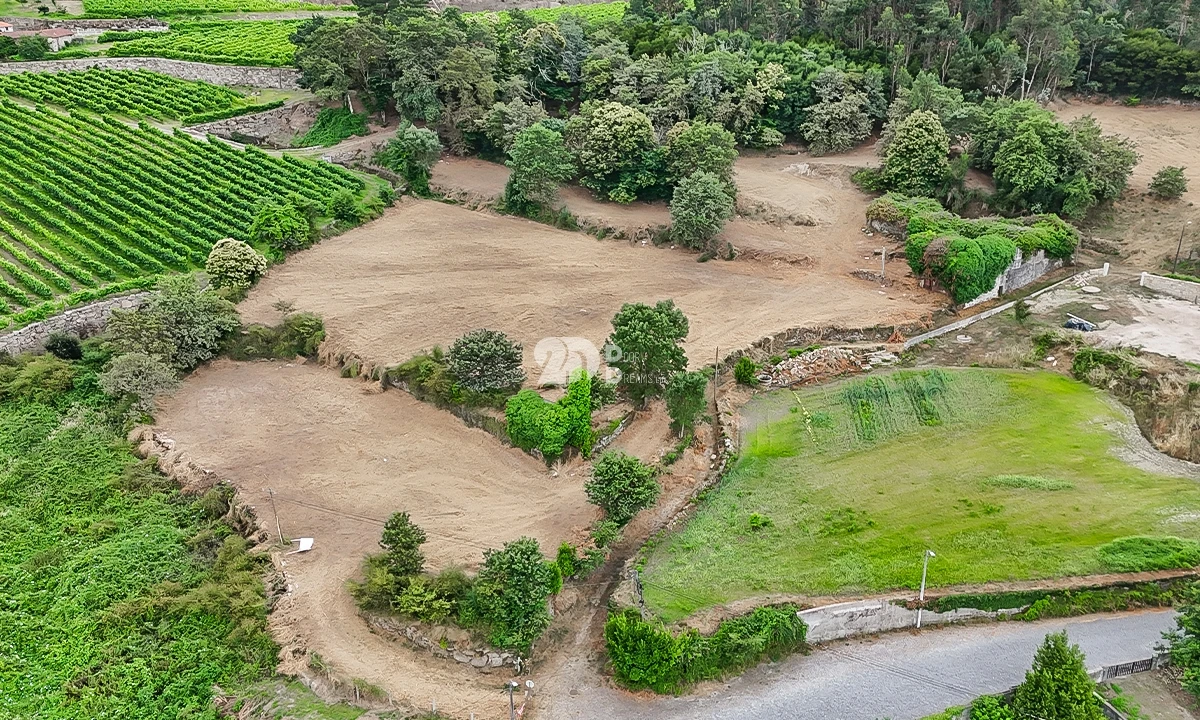 Quinta T0 para Venda em Santo Tirso, Couto (Santa Cristina e São Miguel) e Burgães Foto 3