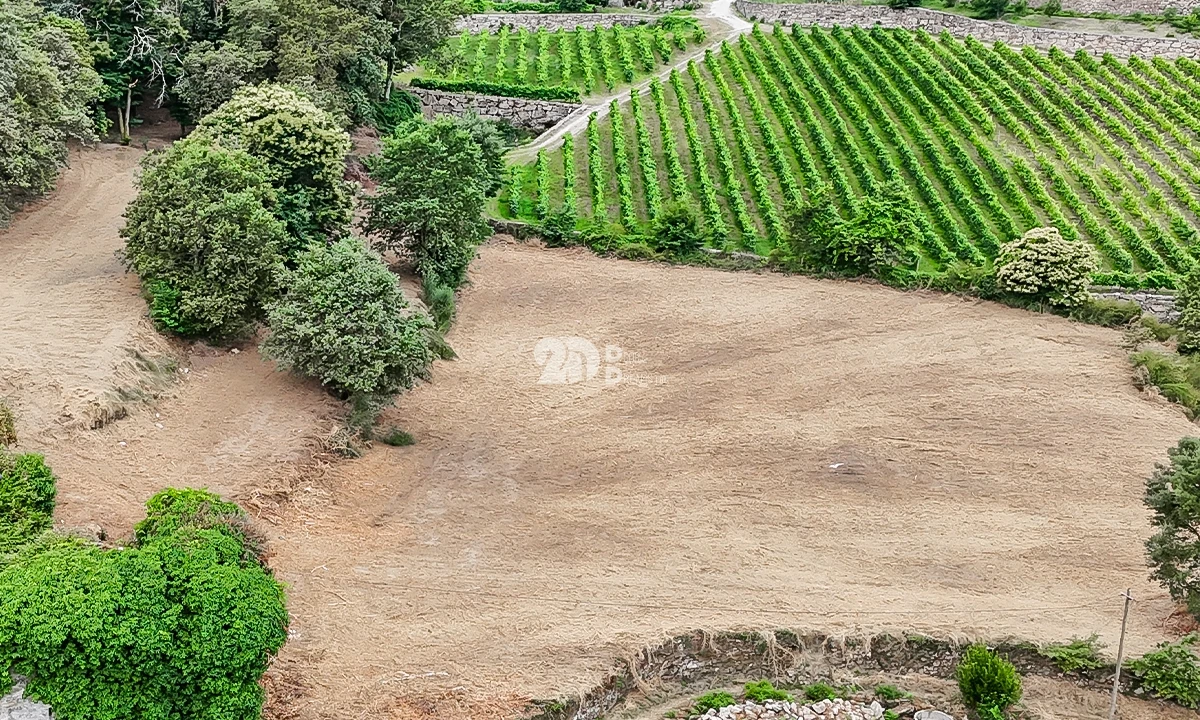 Quinta T0 para Venda em Santo Tirso, Couto (Santa Cristina e São Miguel) e Burgães Foto 4
