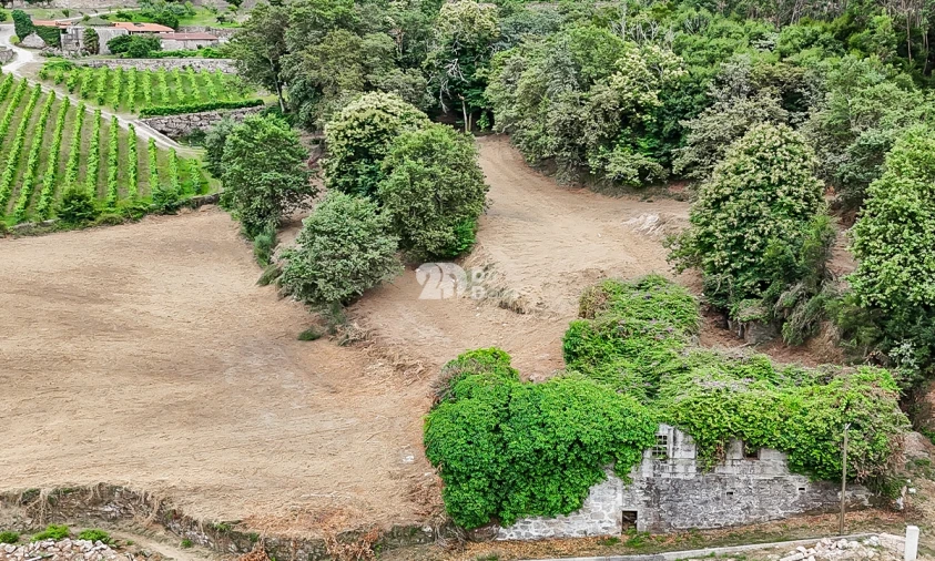 Quinta T0 para Venda em Santo Tirso, Couto (Santa Cristina e São Miguel) e Burgães Foto 2