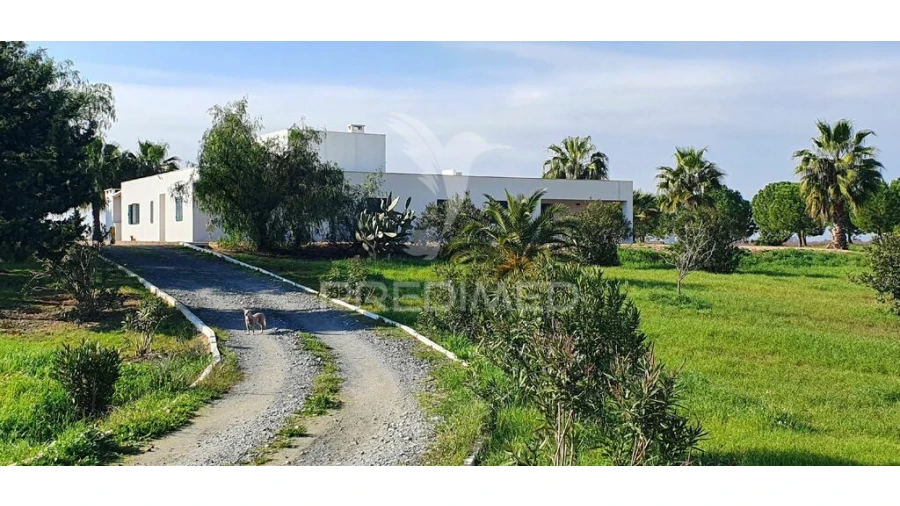 Quinta T7 para Venda em Ferreira do Alentejo e Canhestros Foto 5