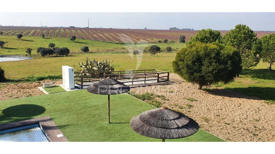 Quinta T7 para Venda em Ferreira do Alentejo e Canhestros Foto 6