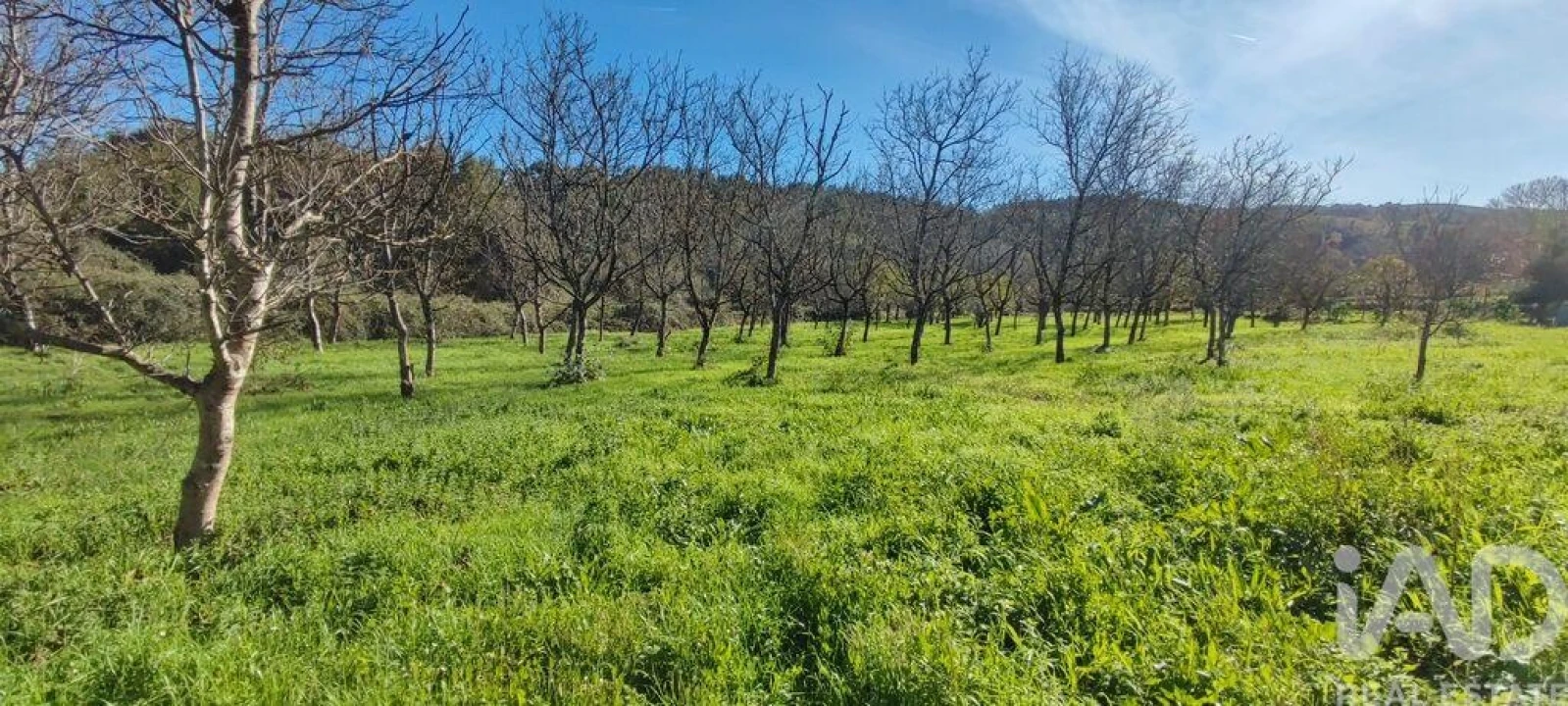 Terreno para Venda em Mões Foto 22
