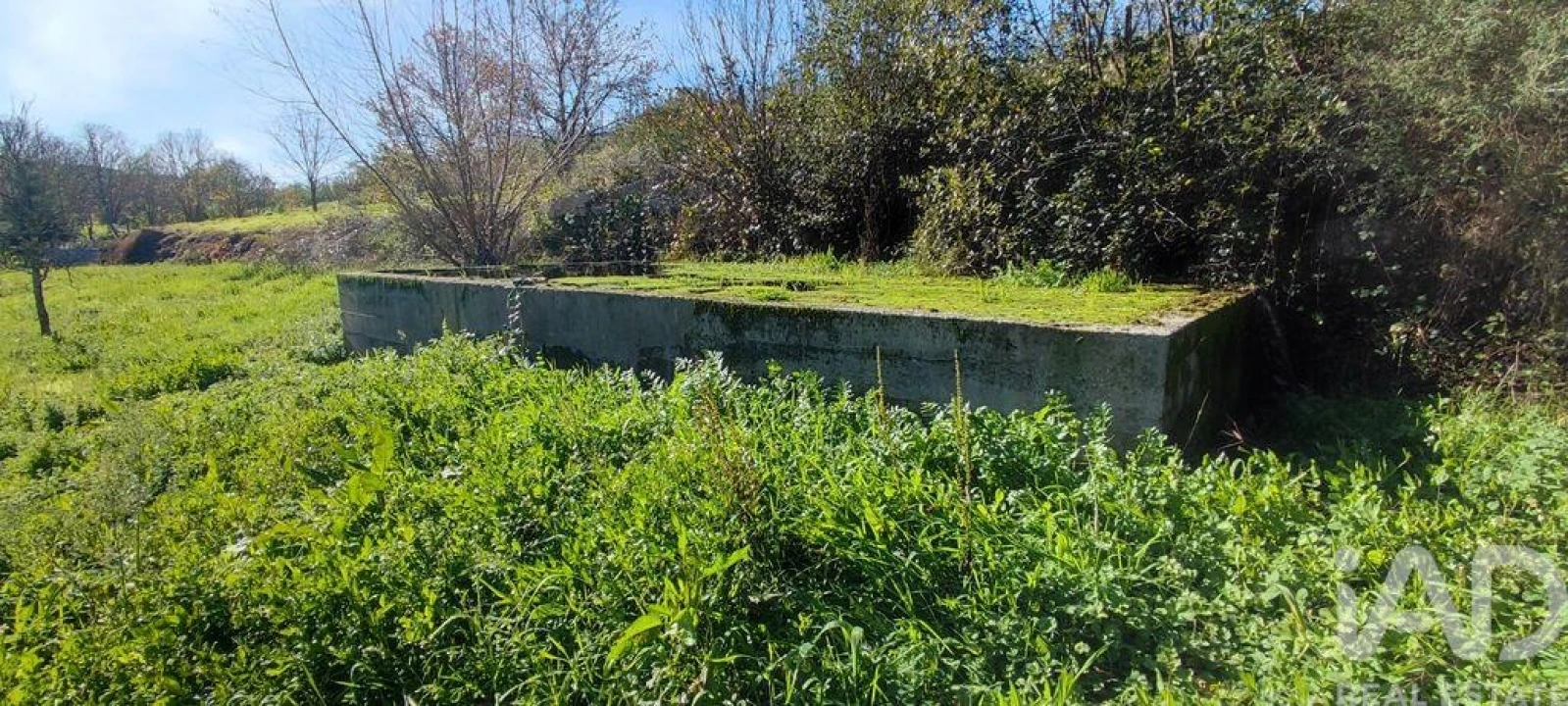 Terreno para Venda em Mões Foto 24