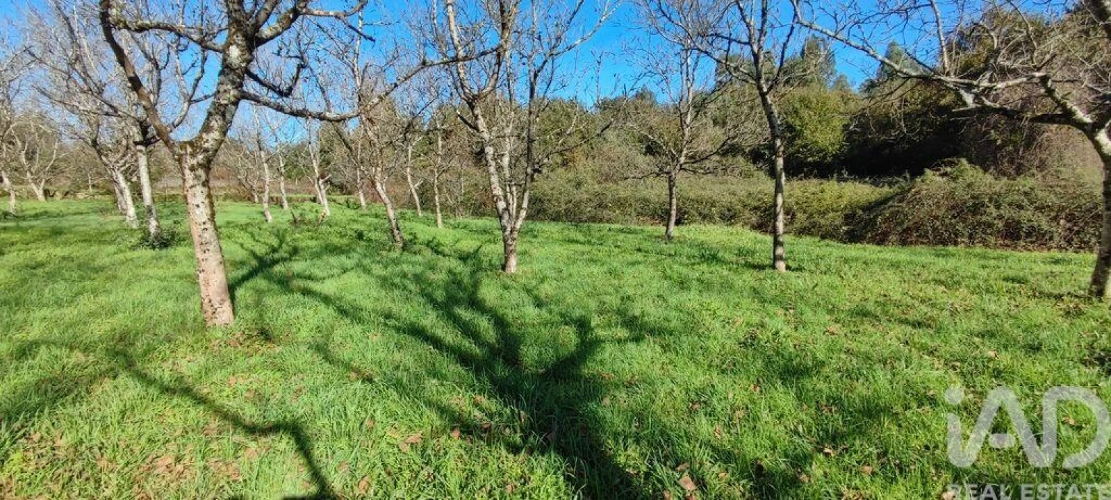 Terreno para Venda em Mões Foto 17