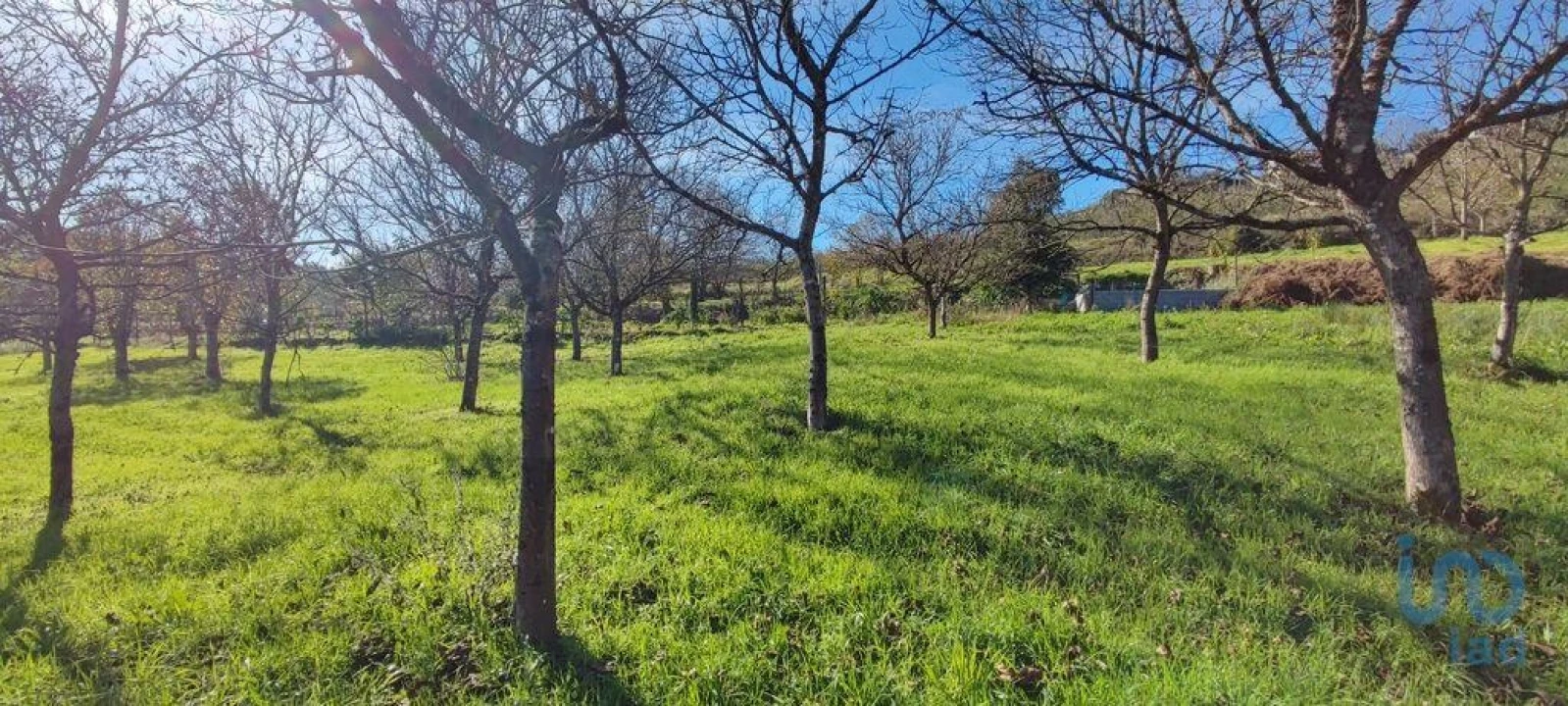 Terreno para Venda em Mões Foto 14